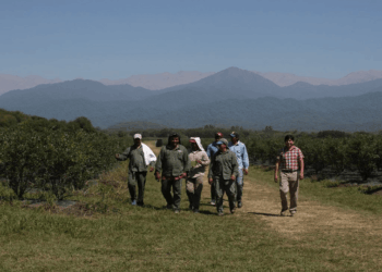 Medida del Renatre: la prestación por desempleo para trabajadores rurales sube 3,28% desde julio