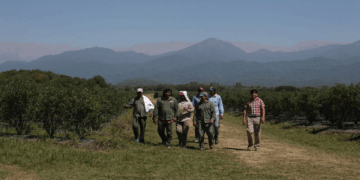 Medida del Renatre: la prestación por desempleo para trabajadores rurales sube 3,28% desde julio