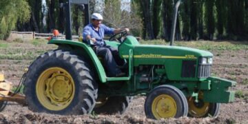 RIMI y ganadería: ¿una oportunidad para acelerar las inversiones en Tucumán?