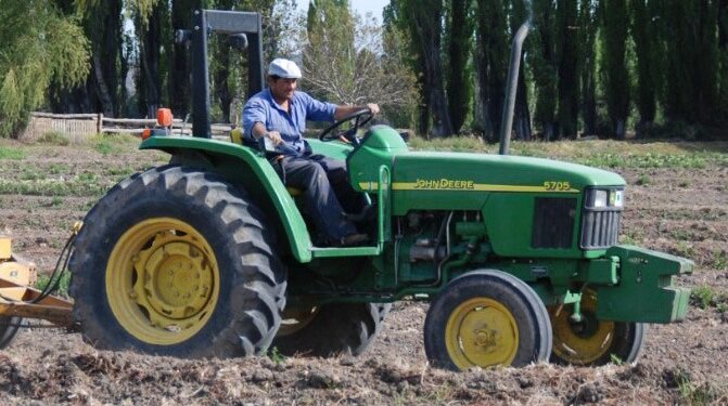 RIMI y ganadería: ¿una oportunidad para acelerar las inversiones en Tucumán?