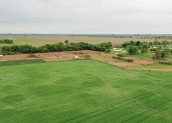 Por la presión política y de parte del campo, el Gobierno desistió de cambiar la Ley de Tierras Rurales