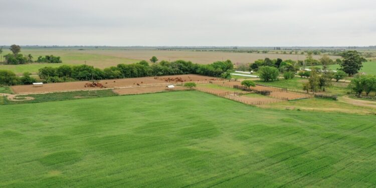 Por la presión política y de parte del campo, el Gobierno desistió de cambiar la Ley de Tierras Rurales
