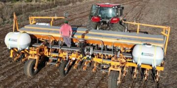 ¿Qué pasará con la siembra de maíz?: una nueva estimación afirma que el área será similar a la 2025/26