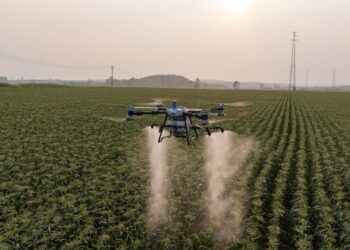 Se agranda el mapa: Salta, otra provincia que regula el uso de drones para aplicar fitosanitarios