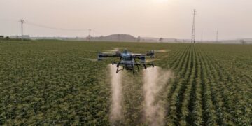 Se agranda el mapa: Salta, otra provincia que regula el uso de drones para aplicar fitosanitarios