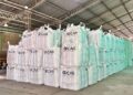 CAS Exportaciones: cómo una empresa familiar de Tucumán llegó a exportar legumbres a más de 45 países