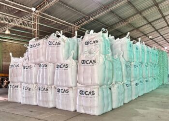 CAS Exportaciones: cómo una empresa familiar de Tucumán llegó a exportar legumbres a más de 45 países