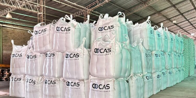 CAS Exportaciones: cómo una empresa familiar de Tucumán llegó a exportar legumbres a más de 45 países
