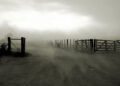 La Tormenta de Santa Rosa viene con pocas lluvias y frío: ¿anticipa un inicio tardío de la primavera?