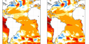 Cómo prepararse ante El Niño extremo: en la zona núcleo estiman lluvias hasta 90% por encima de lo normal