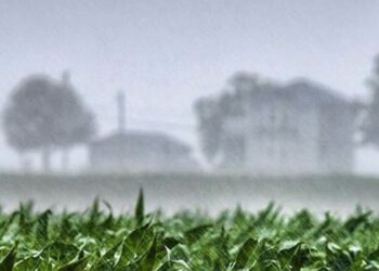 Alerta por tormentas severas con El Niño en pleno desarrollo: ¿Serán más frecuentes estos eventos en los próximos meses?