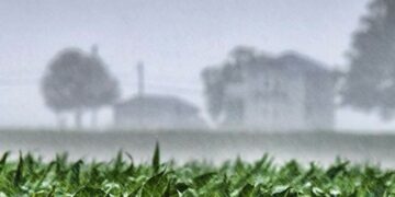 Alerta por tormentas severas con El Niño en pleno desarrollo: ¿Serán más frecuentes estos eventos en los próximos meses?