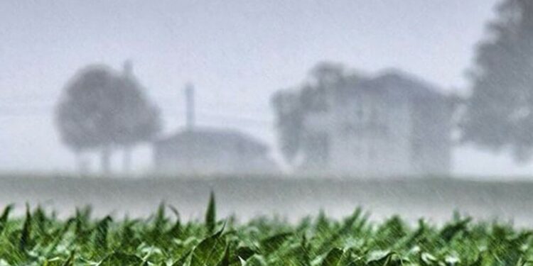 Alerta por tormentas severas con El Niño en pleno desarrollo: ¿Serán más frecuentes estos eventos en los próximos meses?