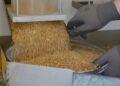Las operaciones de granos crecieron, pero no pudieron evitar la caída de divisas
