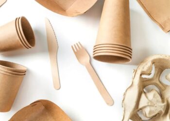 Europa cambió el packaging y abrió un desafío para la forestoindustria argentina