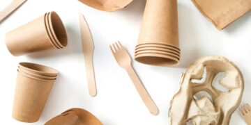 Europa cambió el packaging y abrió un desafío para la forestoindustria argentina