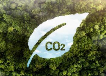 Latinoamérica pisa fuerte en el mercado de carbono: el desafío es convertir naturaleza en inversión
