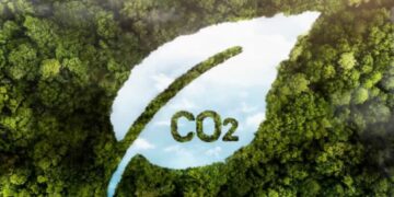 Latinoamérica pisa fuerte en el mercado de carbono: el desafío es convertir naturaleza en inversión