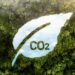 Latinoamérica pisa fuerte en el mercado de carbono: el desafío es convertir naturaleza en inversión