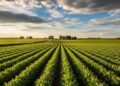 Soluciones para el agro: cuáles son las nuevas opciones para aumentar la productividad