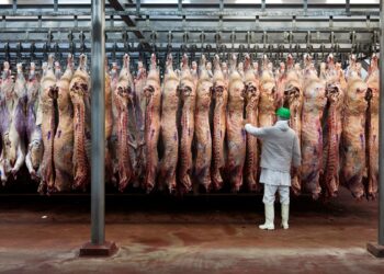 Carne argentina: Estados Unidos abre una ventana comercial y advierten que el desafío será estar preparados