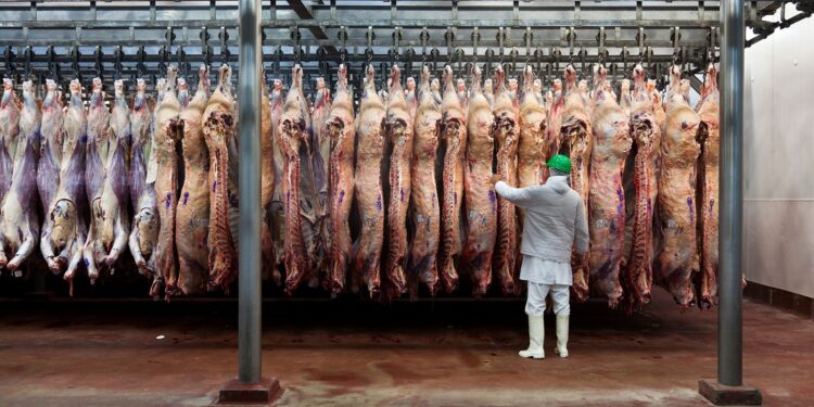Carne argentina: Estados Unidos abre una ventana comercial y advierten que el desafío será estar preparados