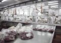 La carne argentina pisa fuerte en el mundo: sube el valor de las exportaciones