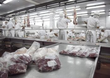 La carne argentina pisa fuerte en el mundo: sube el valor de las exportaciones