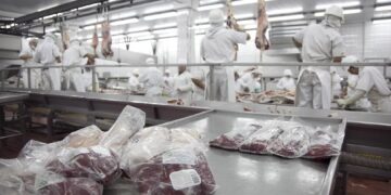 La carne argentina pisa fuerte en el mundo: sube el valor de las exportaciones