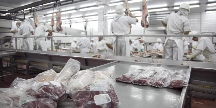 La carne argentina pisa fuerte en el mundo: sube el valor de las exportaciones