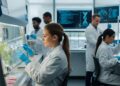 Argentina y Brasil estrechan vínculos para impulsar los bioinsumos
