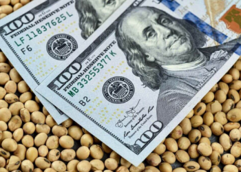 Retenciones: el Estado recaudaría U$S 4.600 millones este año, una cifra similar a 2025