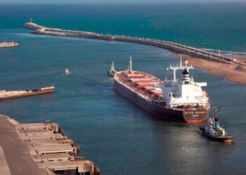 Las exportaciones del agro empujan con fuerza: 117 productos hicieron récord en el primer semestre