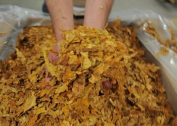 El campo argentino salta el charco: las exportaciones agroindustriales a la Unión Europea crecen 30%