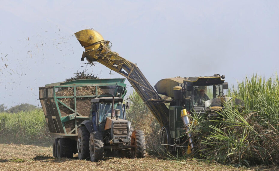 Azúcar y bioetanol: las dos claves que pueden redefinir el futuro de la industria sucroalcoholera en Tucumán