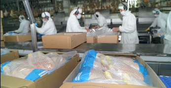 Japón vuelve a abrir sus puertas a la producción avícola argentina