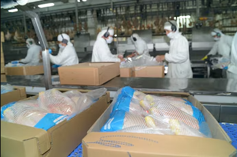 Japón vuelve a abrir sus puertas a la producción avícola argentina