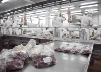 Carne vacuna: las exportaciones aceleraron en agosto y los ingresos crecieron casi 30% en un año