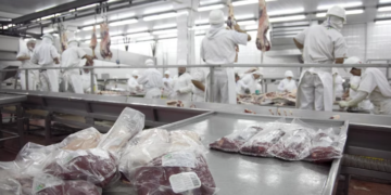 Carne vacuna: las exportaciones aceleraron en agosto y los ingresos crecieron casi 30% en un año