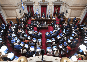 La nueva ley de biocombustibles dio un primer paso en el Senado y ahora les toca definir a los diputados