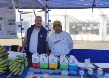 Agricultura biorregenerativa: cómo producir más, recuperar el suelo y transformar la horticultura del NOA