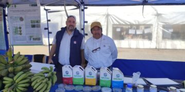 Agricultura biorregenerativa: cómo producir más, recuperar el suelo y transformar la horticultura del NOA