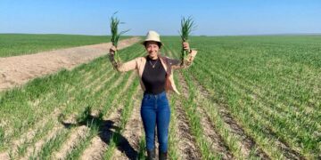 Agro Confort: experiencia, tecnología y acompañamiento para potenciar al campo tucumano