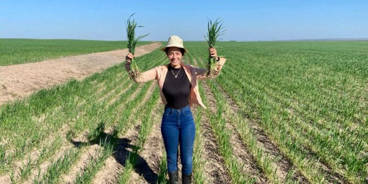 Agro Confort: experiencia, tecnología y acompañamiento para potenciar al campo tucumano