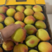 Frutales en Jujuy: Terra Nostra apuesta por la palta Hass y el durazno desde una empresa familiar
