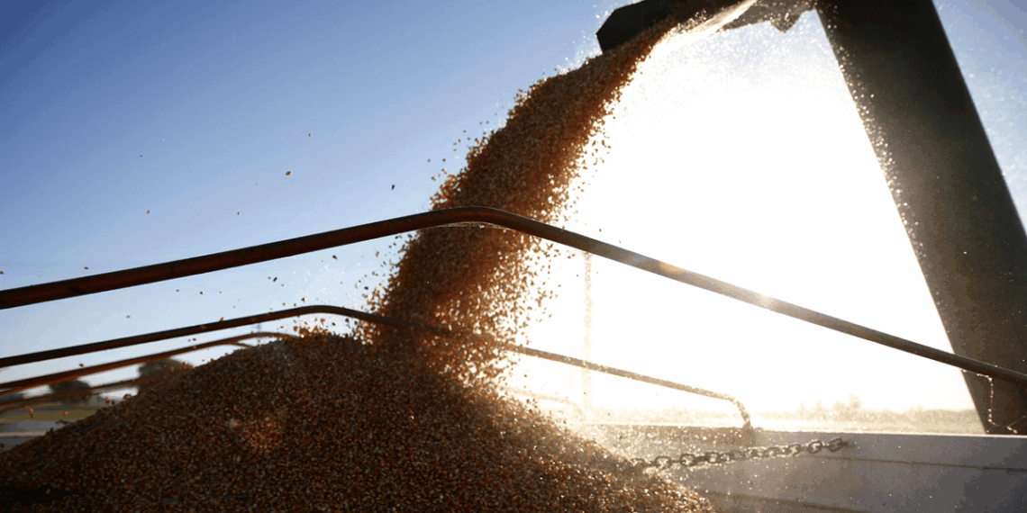 Si El Niño acompaña, el agro podría aportar un récord exportador de US$ 42.200 millones en 2027