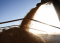 Si El Niño acompaña, el agro podría aportar un récord exportador de US$ 42.200 millones en 2027
