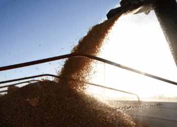 Si El Niño acompaña, el agro podría aportar un récord exportador de US$ 42.200 millones en 2027