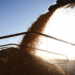Si El Niño acompaña, el agro podría aportar un récord exportador de US$ 42.200 millones en 2027