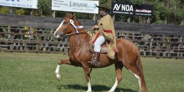 Caballos Peruanos de Paso: una competencia especial llega a la Expo Agro Ganadera 2026